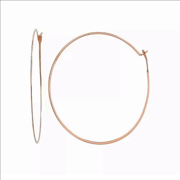 NWT MICHAEL KORS Whisper Hoop Earrings - Picture 3 of 5